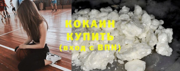 молекула духа Саяногорск